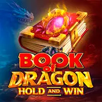 HighFlyBet Casino – Book Of Dragon