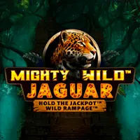 HighFlyBet Casino – Mighty Wild Jaguar